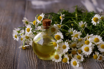 Chamomile flower oil. May daisy.