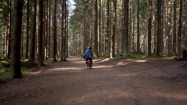 A child in a blue jacket on a red bicycle rides through the forest. The camera on the stage moves behind the bicycle