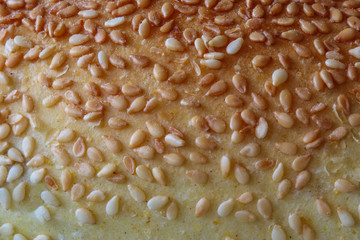 Macro close up of roll with sesame seeds