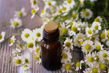 Chamomile flower oil. May daisy.
