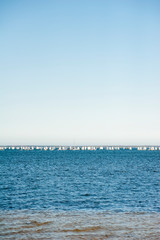 Obraz premium A lot of white sailboats on the water during regatta competitions