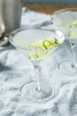 Homemade Japanese Sake Cucumber Martini Cocktail