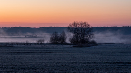 Rzeka Narew. Słoneczny poranek z przymrozkiem. Narwiański Park Narodowy. Podlasie. Polska © podlaski49