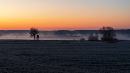 Rzeka Narew. Słoneczny poranek z przymrozkiem. Narwiański Park Narodowy. Podlasie. Polska