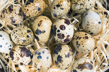 Fototapeta premium Quail eggs on a wooden chip. A closeup. Easter concept.