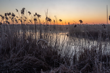 Rzeka Narew. Słoneczny poranek z przymrozkiem. Narwiański Park Narodowy. Podlasie. Polska © podlaski49