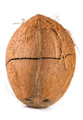 cracked coconut on a white background