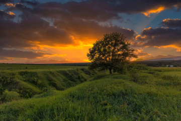 sunset over green field
