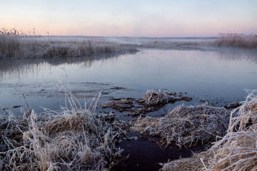 Rzeka Narew. Słoneczny poranek z przymrozkiem. Narwiański Park Narodowy. Podlasie. Polska © podlaski49