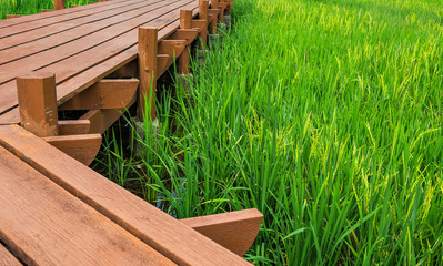 Wood platform at paddy field.