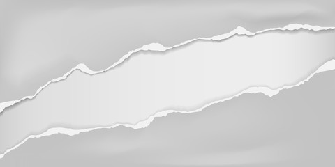 Pieces of torn grey crumple paper with soft shadow stuck on white background. Vector illustration