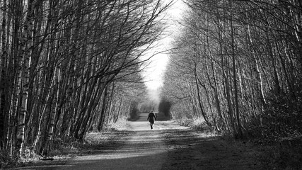 A person walking along a tree lined track in the morning sun, in black and white