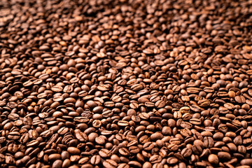 Close-up of roasted coffee beans