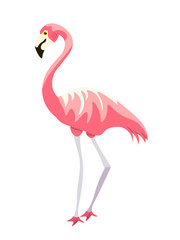 Cute pink flamingo exotic bird isolated on white
