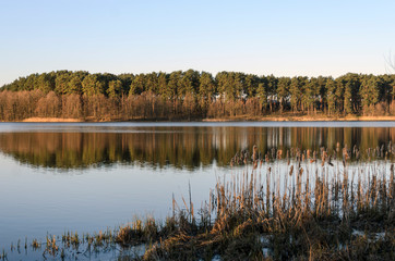 Spring morning on the lake, calm expanse of water and the shore with trees, balance and peace.