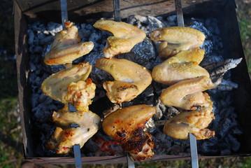 Chicken wings are fried on skewers on the grill. Picnic in nature.