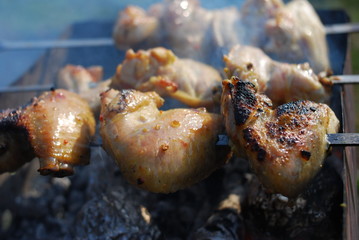 Chicken wings are fried on skewers on the grill. Picnic in nature.