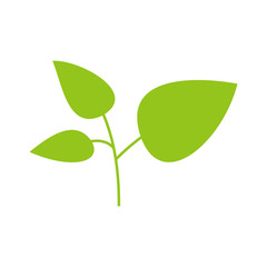 Leaf icon vector. Leaf logo illustration. Simple design on white background.