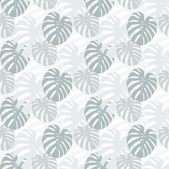 Vector seamless pattern of grey monstera leaves on the white background. Tropical leaves. Modern texture for covers, wallpaper, fabric, backgrounds. Exotic vector pattern.