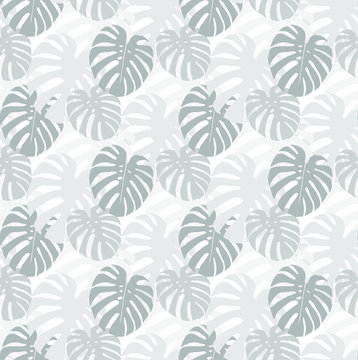 Vector seamless pattern of grey monstera leaves on the white background. Tropical leaves. Modern texture for covers, wallpaper, fabric, backgrounds. Exotic vector pattern. © Yuliia Maksymkina