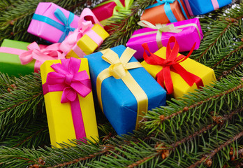 Branches of pine with a gifts.