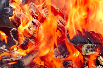 a Fire with coals and fire on nature picnic background. Burns out a bonfire for food on the street