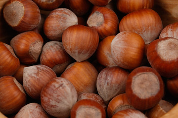 Hazelnuts Close-up. Macro shot