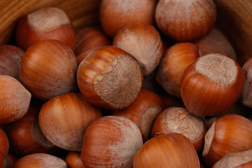 Hazelnuts nuts in a wooden plate. Close-up
