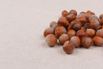 A pile of hazelnuts. Close-up.