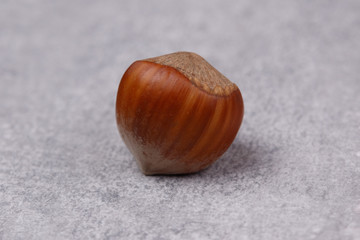 One hazelnut nut.