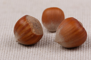 Three hazelnuts. Close-up.