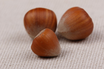 Three hazelnuts. Close-up.