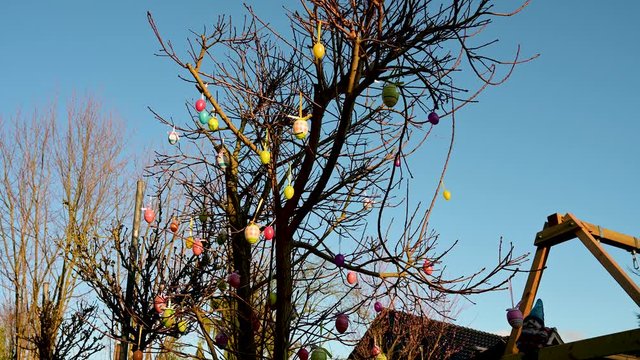 Baum ist mit Ostereiern zu Ostern bunt dekoriert