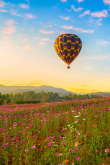 Beautiful view with color hot air balloon over the cosmos flowers with mountain and blue sky background 