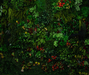 Wall with greenery