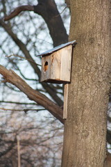 Bird's House