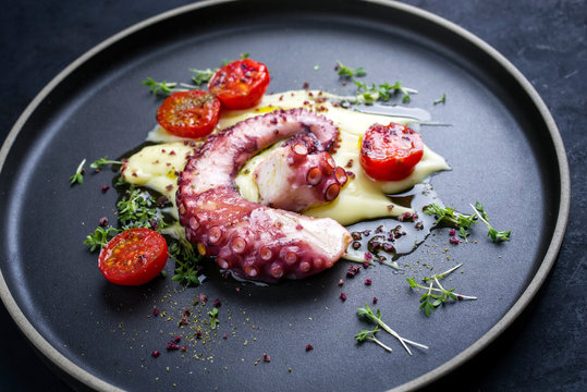 Traditioneller italienischer Oktopus polpo alla griglia mit Kartoffel P&uuml;ree Creme ,und Tomaten als closeup auf einem Modern design Teller