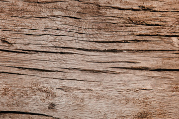 Naklejka premium Holz Struktur Baum Fasern