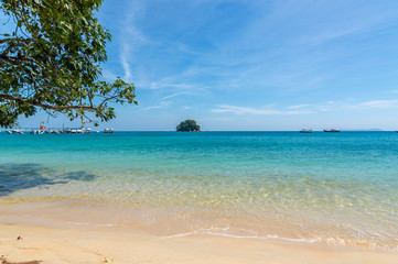 Beach with green tree and blue skies