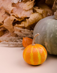 Background with Pumpkins, Yellow and Red Autumn Leaves Against Background. For Social Media Posts, Hello November, Autumn Mood and Thanksgiving Day.