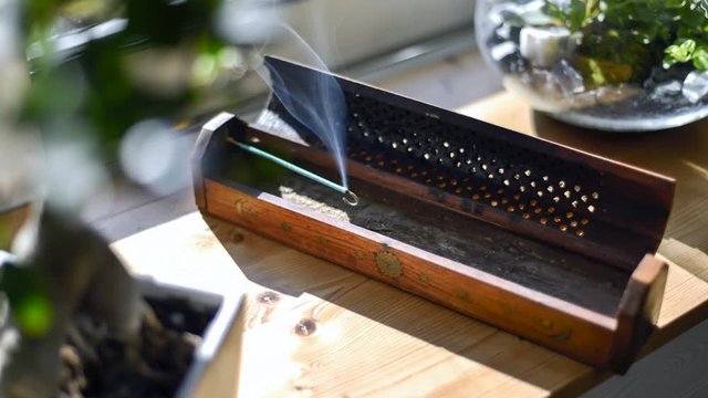 Encens brule sous le soleil d'une fenetre près de bonzai