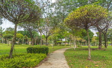 jogging track at green garden