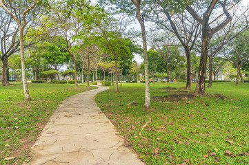 jogging track at green garden