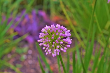 MINHAS VIAGENS INTERNACIONAL 