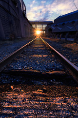 Fototapeta na wymiar railway tracks in the sunset