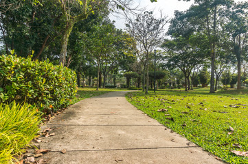 Jogging track at green garden