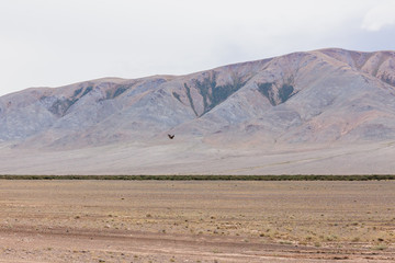 Mongolia landscape. Altai Tavan Bogd National Park in Bayar-Ulgii