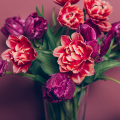 Beautiful Bunch of Peony and Parrot Style Tulips in the Vase on the dusty pink background, spring holiday concept, copy space