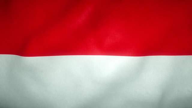 flag of indonesia waving in the wind