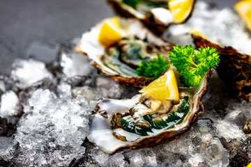 Raw opened oysters on crushed ice